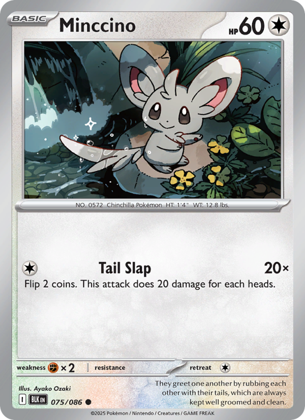 Minccino - Black Bolt 075/86