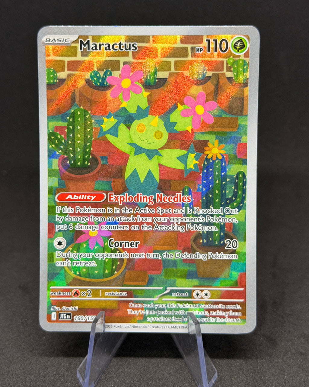 Maractus - 160/159 - Illustration Rare - Journey Together - Pokemon - NM/M